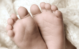 Link zum Thema Wärme